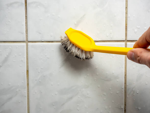 Best Localized Mold Remediation (e.g., coastal areas, humid climates) in Cavalero, WA