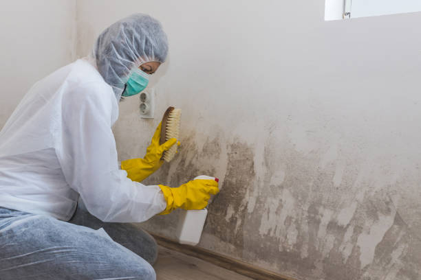 Best Bathroom Mold Remediation in Cavalero, WA