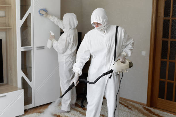 Best Emergency Mold Remediation in Cavalero, WA