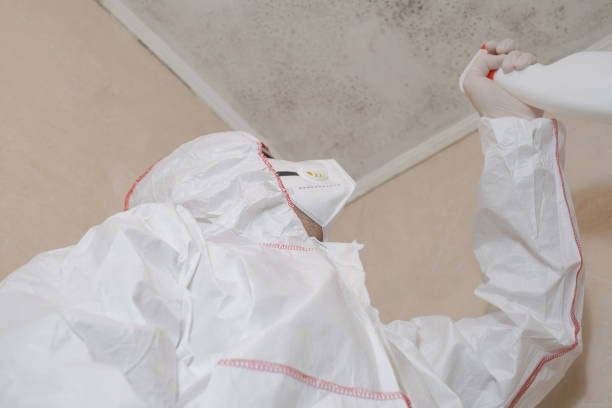 Best Kitchen Mold Remediation in Cavalero, WA