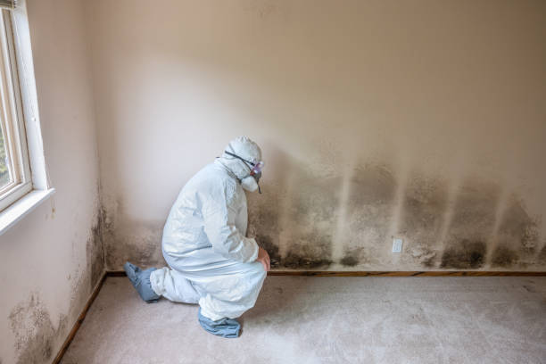 Cavalero, WA Mold Remediation Company